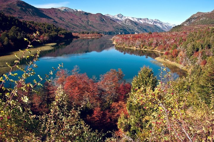 Lake Moreno or Lake Gutiérrez Kayak Tour from Bariloche - imagen #2