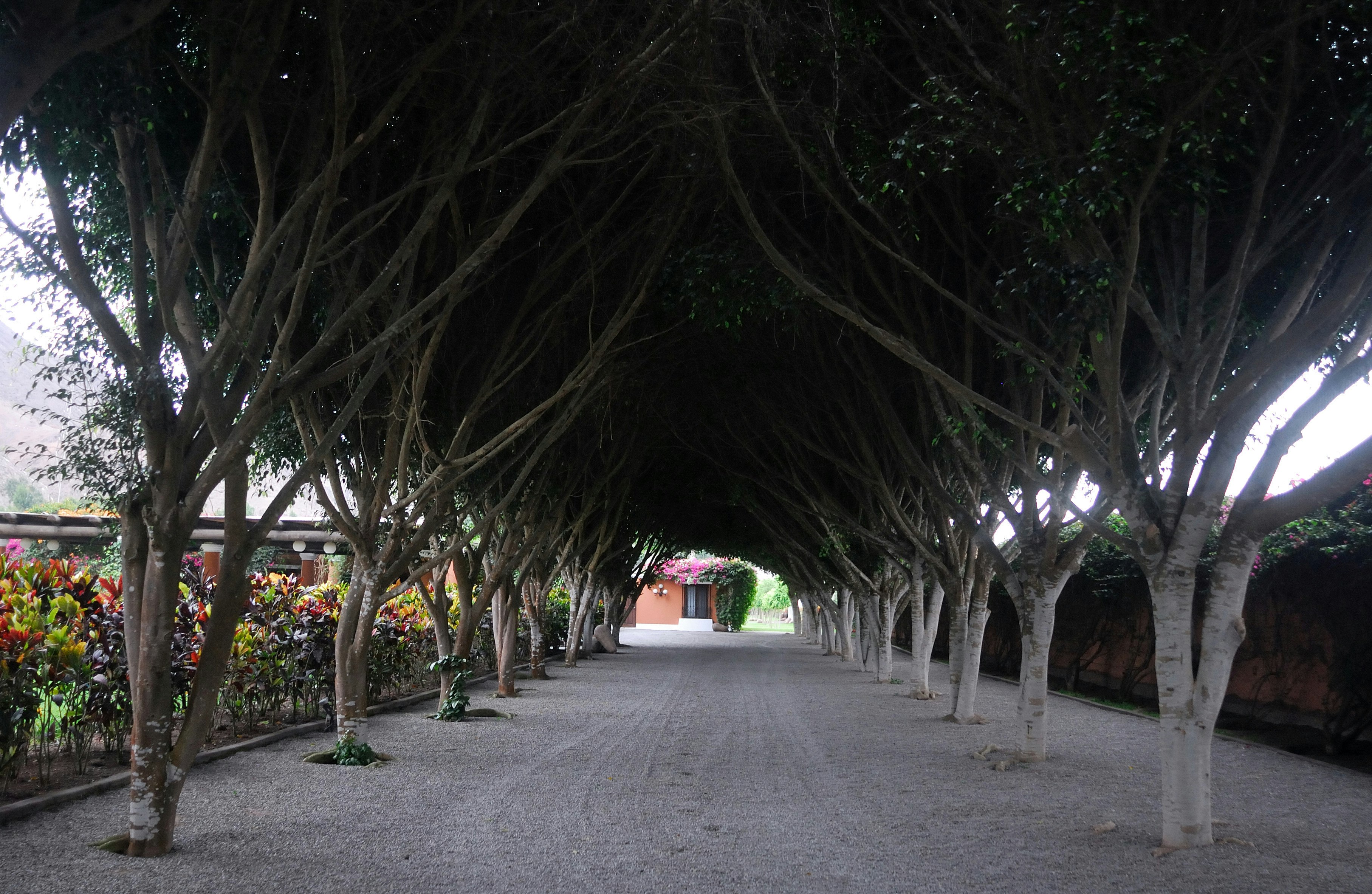 Pachacamac Temple, Peruvian Paso Horse & Artisan Store Private Tour from Lima - imagen #8