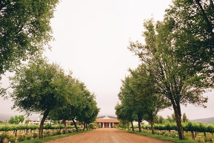 Full Day Guided Trip to Casablanca Valley - Visit to 2 Vineyards - imagen #2