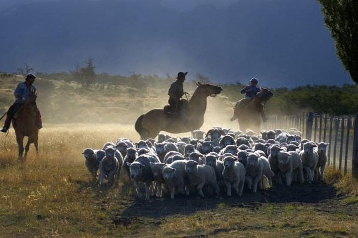 Nibepo Aike Ranch Day and Horseback Riding from el Calafate - imagen #7