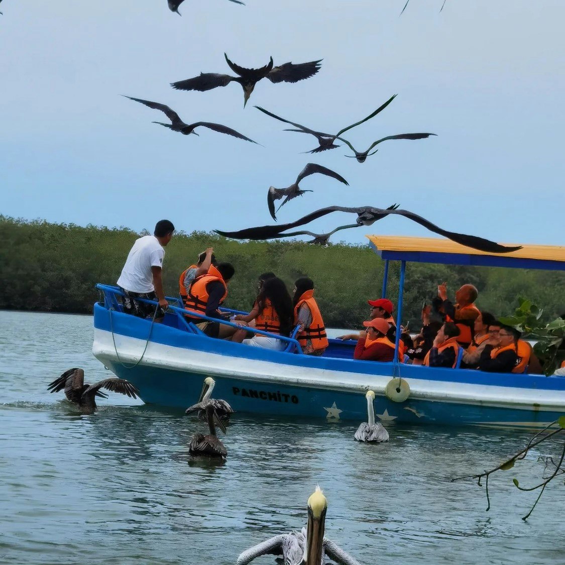 Tum-01 : Mangrove Marvels - Puerto Pizarro and Islands Tour - imagen #12