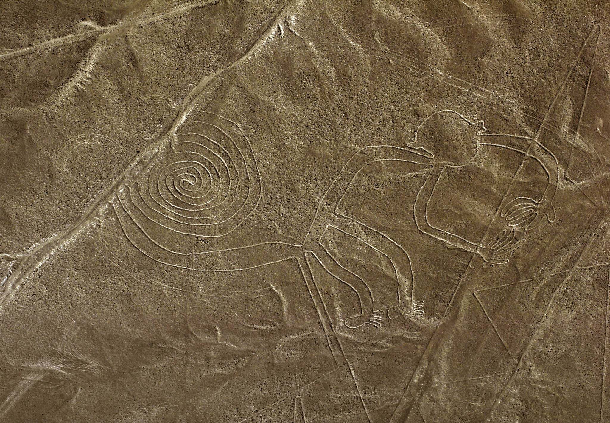 Excursión de día completo a las Líneas de Nazca desde Lima (autobús y vuelo) - imagen #9