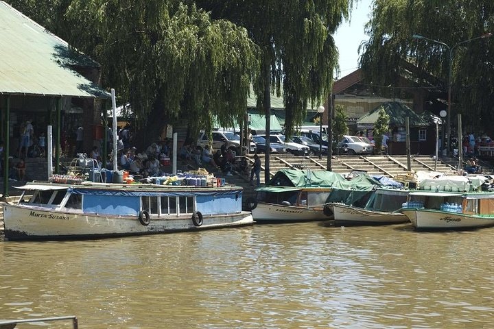 Tigre Delta Half-Day Tour & Cruise from Buenos Aires - imagen #7