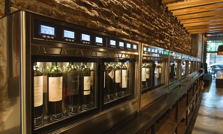 Tour de vinos argentinos premium y degustación gourmet - imagen #5