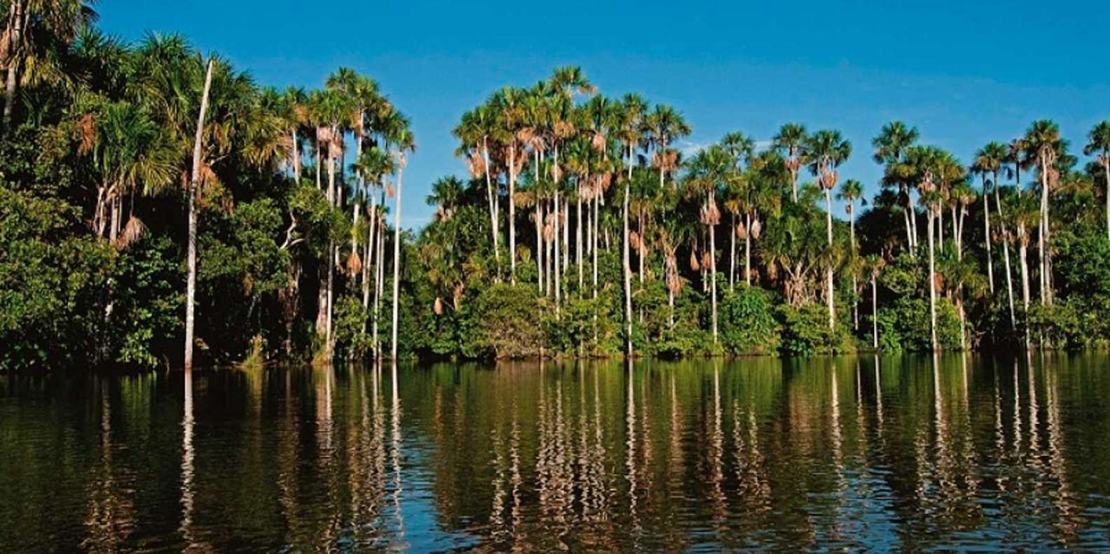 Pmal-05: Descubre los secretos del Amazonas: 4 días de felicidad con los guacamayos - imagen #3