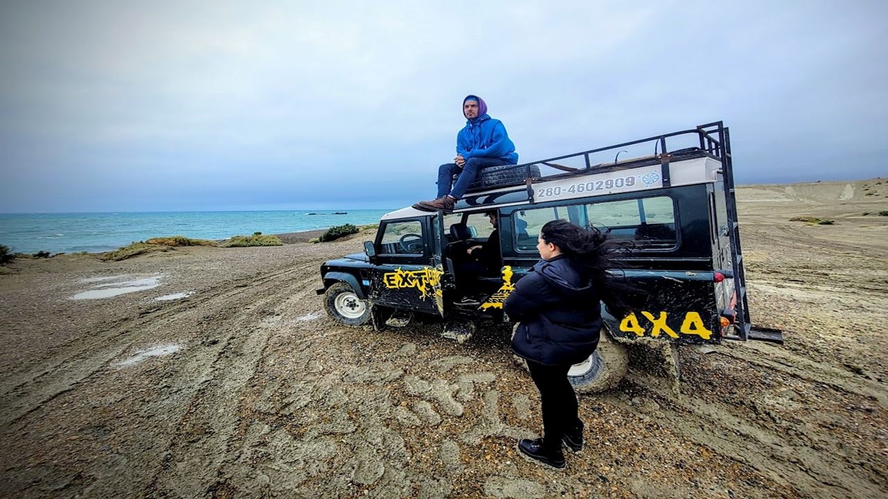 Full Day Tour to Punta Ninfas from Puerto Madryn - imagen #11