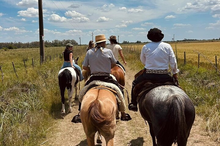 Horseback Riding Experience in Carlos Keen - imagen #20
