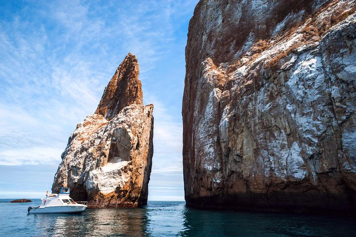 Galápagos: recorrido de 9 días por Santa Cruz, Isabela y San Cristóbal - imagen #3