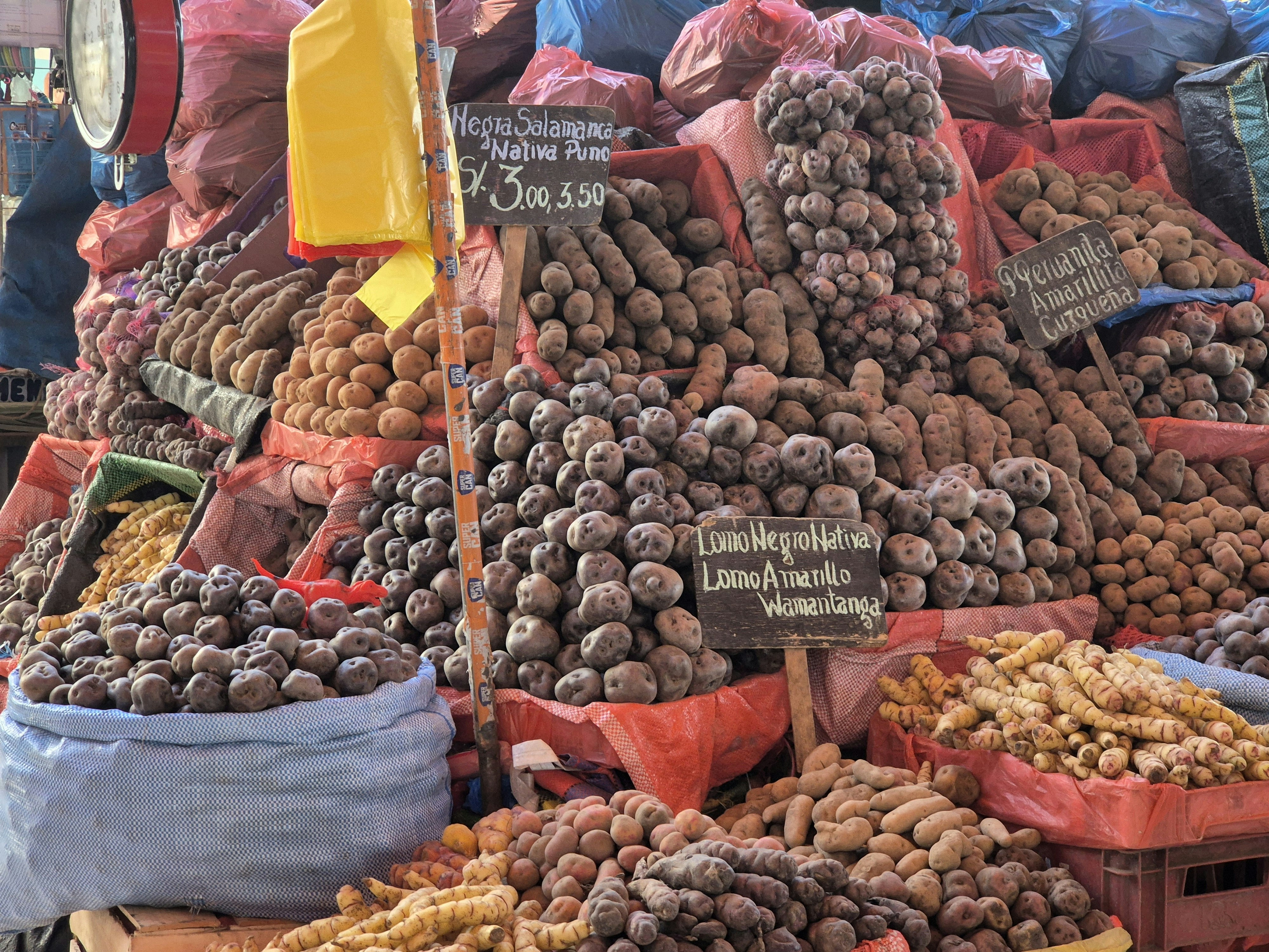 San Camilo Market Walking Tour - imagen #9
