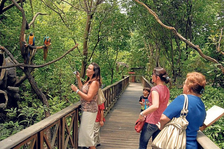 Private Guayaquil City Tour and Parque Historico - imagen #10