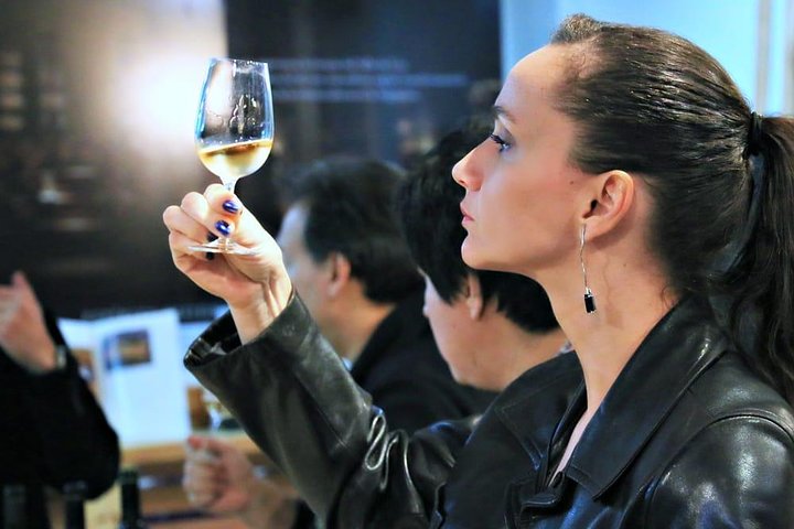 Tour de vinos argentinos premium y degustación gourmet