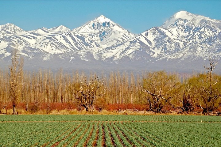 4-Days Trip to Mendoza and The Andes - imagen #4
