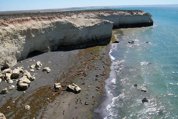 4-Day Tour to Puerto Madryn by Air from Buenos Aires - imagen #2