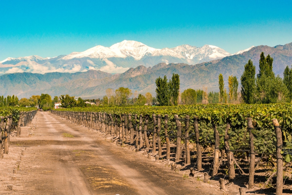 4-Days of Adventure at Mendoza - Beauty & Adrenaline - imagen #6