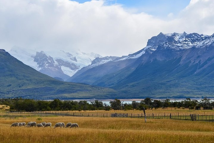 Nibepo Aike Ranch Day and Horseback Riding from el Calafate - imagen #3