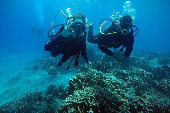 Discover the mystical Easter Island and its famous gigantic stone statues - imagen #6