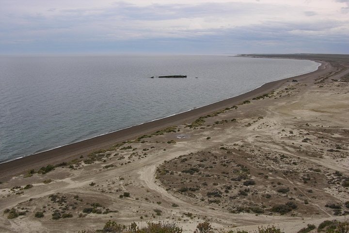 City Tour and Sea Lions at Punta Loma from Puerto Madryn - imagen #6