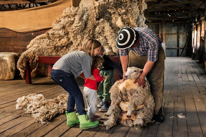 Nibepo Aike Ranch Day and Horseback Riding from el Calafate - imagen #20