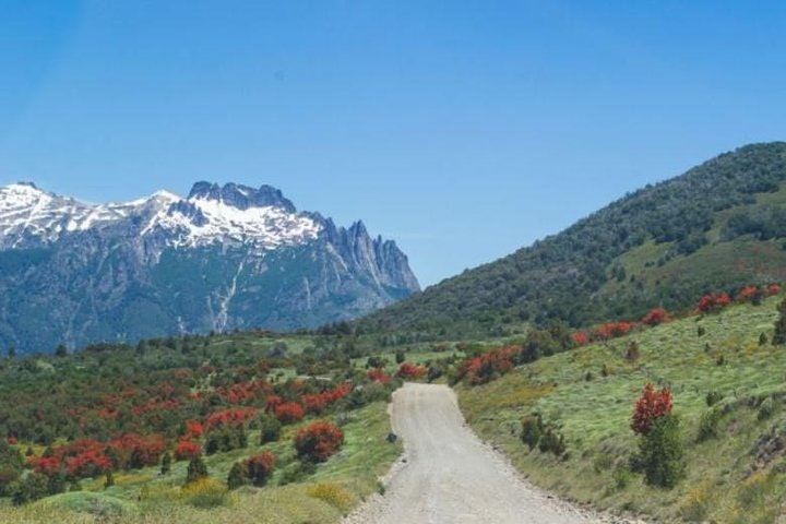 Lake Huechulafquen and Lanin Volcano Day Trip - imagen #3