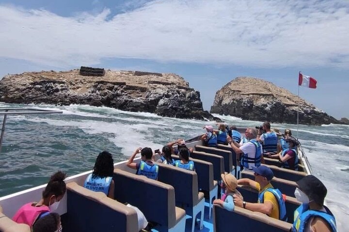 Lim-10 : Swimming with Sea Lions in Islas Palomino Lima - imagen #6