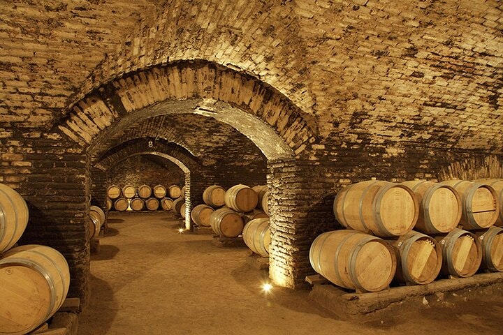 Half Day Trip to Concha y Toro Vineyard Tour Premium - imagen #3