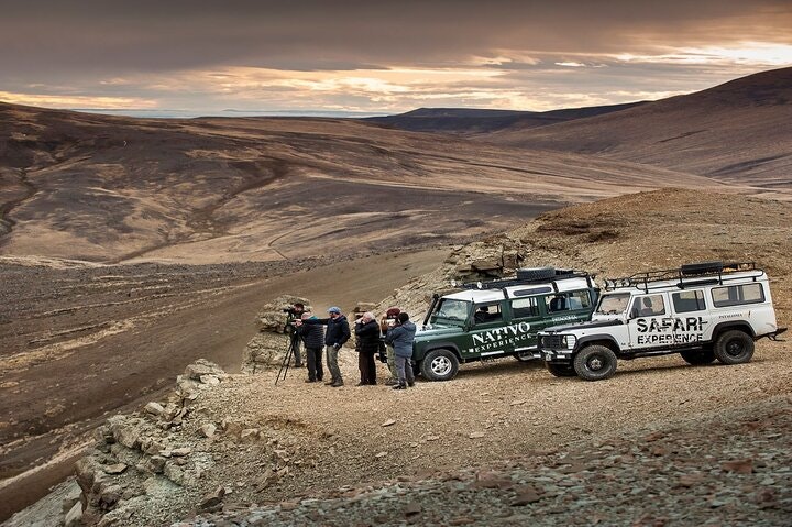 El Calafate Safari Experience - imagen #12