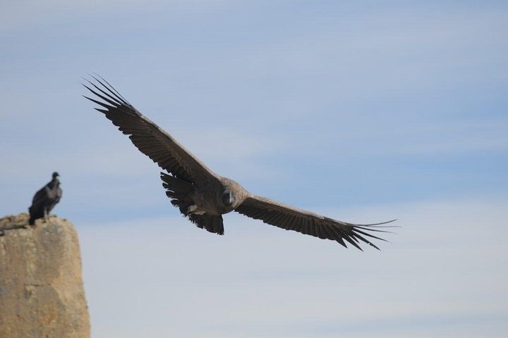 El Calafate Balcony in 4WD Experience - imagen #4