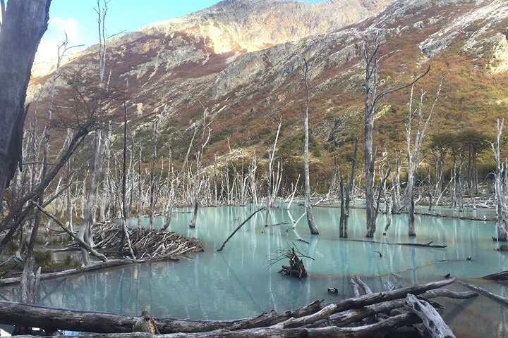 Emerald Lagoon Trekking from Ushuaia - imagen #17