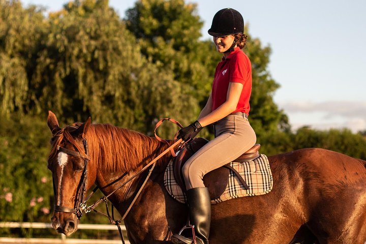 Día en el rancho y excursión de polo con almuerzo
