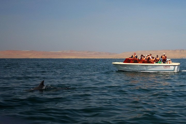 Nazca Lines & Ballestas Islands Private Full Day Tour from Lima - imagen #4