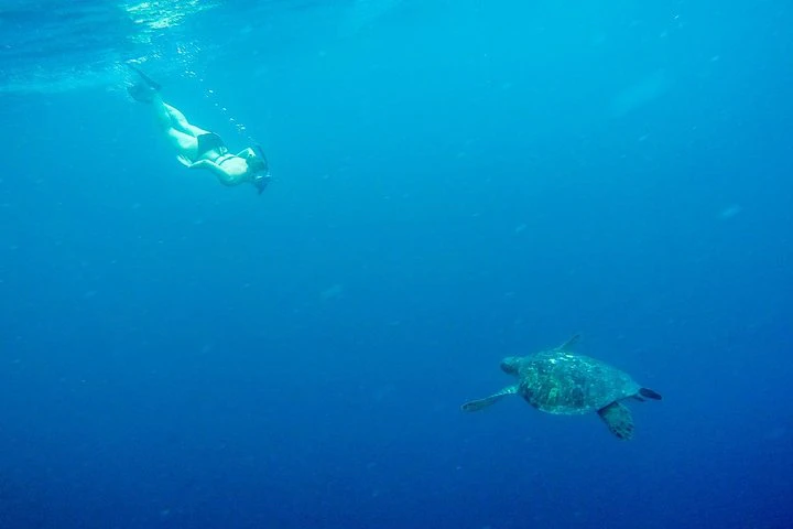 Galápagos: recorrido de 9 días por Santa Cruz, Isabela y San Cristóbal - imagen #10