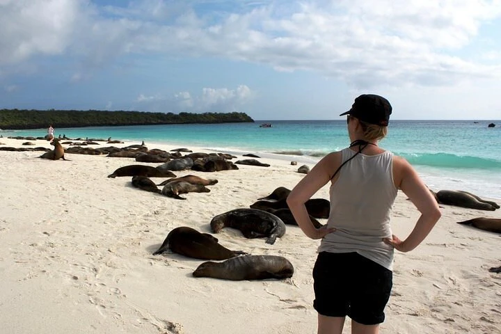 Galápagos: 4 días explorando la isla de San Cristóbal - imagen #14
