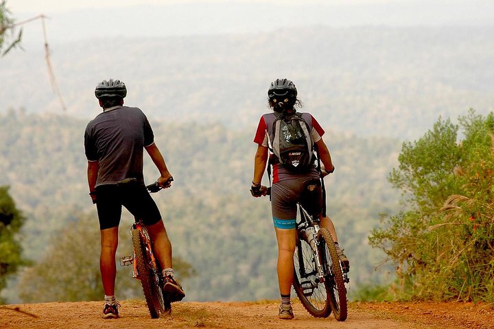 Iguazú Bike Private Tour to the Yaguarundi Road from Puerto Iguazú