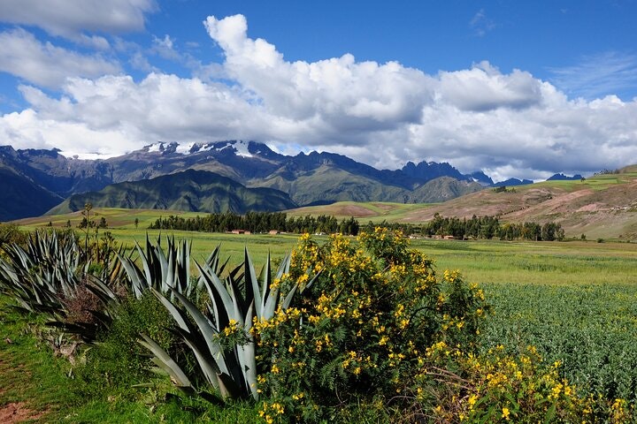 8-Day Ancient Altars of the Incas: Mysticim, Esoteric, Rural Communities & Machu Picchu - imagen #25
