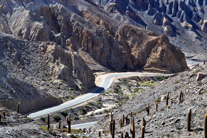Laguna del Toro and Flamingo-Watching 4WD Tour from Salta - imagen #8