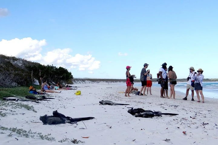 4 días en las Galápagos: las islas Isabela y Santa Cruz - imagen #9