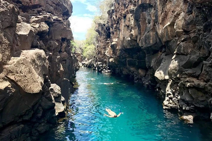 Recorrido por la bahía de Santa Cruz - Islas Galápagos - imagen #9