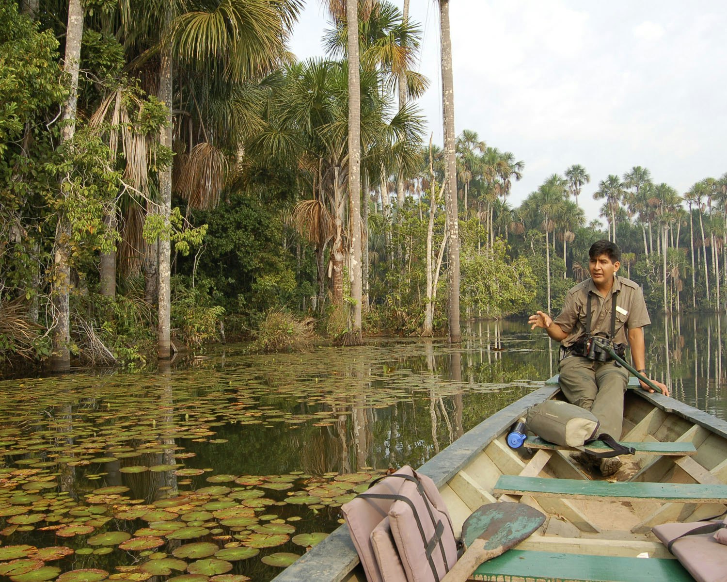 Cus-07 : Manu s Park Odyssey - Embark on a 4 Days Jungle Expedition - imagen #16