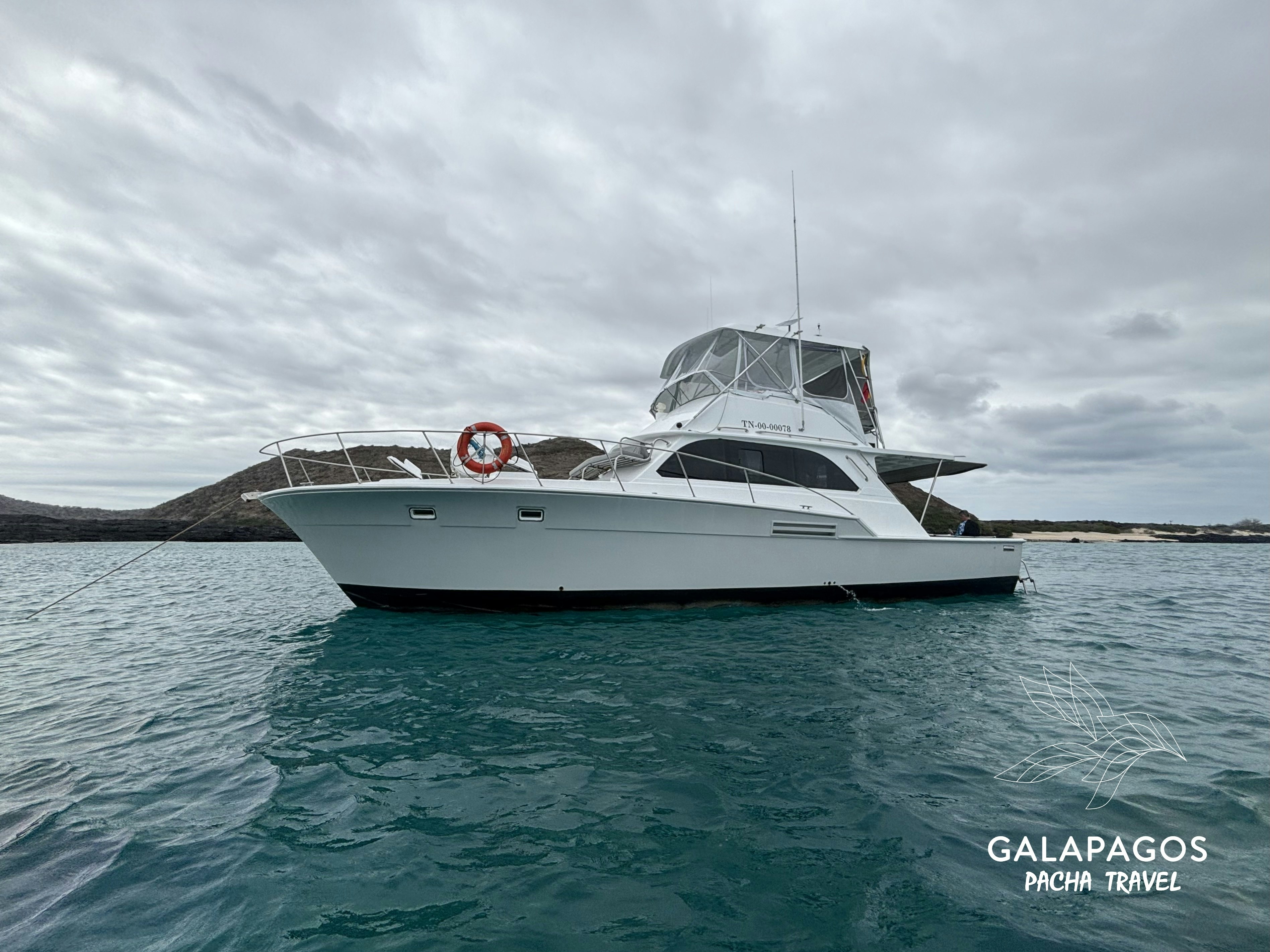 5 day / Sta. Cruz Highlands & C. Darwin RS, Bartolome, N. Seymour - imagen #8