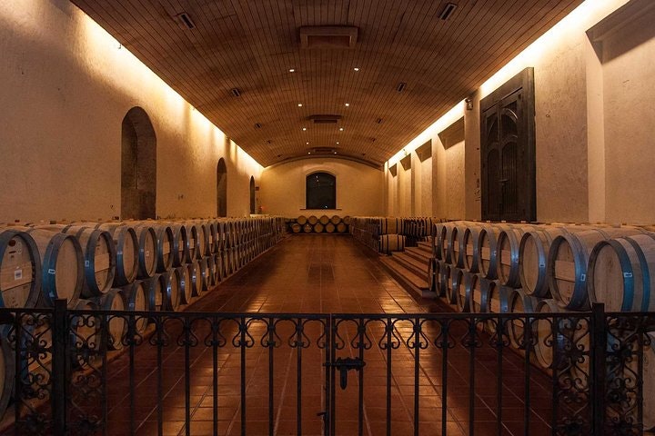 Small-Group Half Day Tour to Concha y Toro Winery - imagen #8