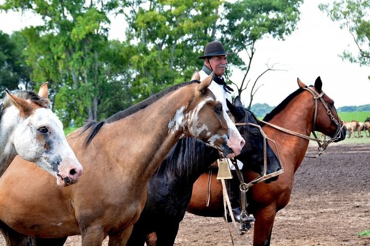 Gaucho Day Trip from Buenos Aires: Santa Susana Ranch - imagen #17
