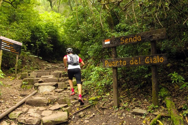 Yungas and El Rey National Park 4x4 Full Day Tour from Salta - imagen #6