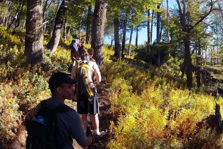 Excursión de día completo a la colina Bella Vista desde Bariloche - imagen #6