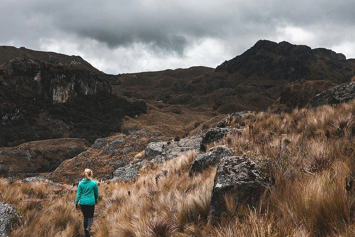 Excursión privada de senderismo de día completo al Parque Nacional de las Cajas - imagen #3
