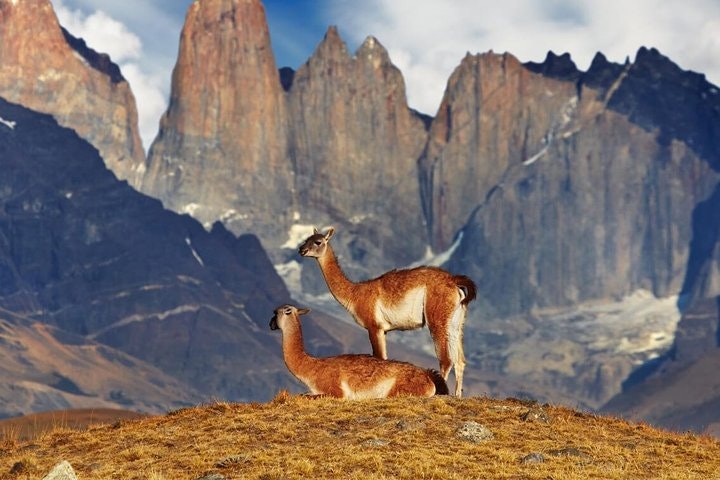 Express W Circuit - Torres del Paine - imagen #6
