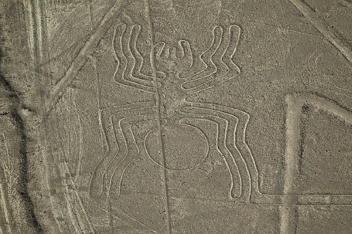 2-Day Nazca Lines and Ballestas Islands from Lima - imagen #3