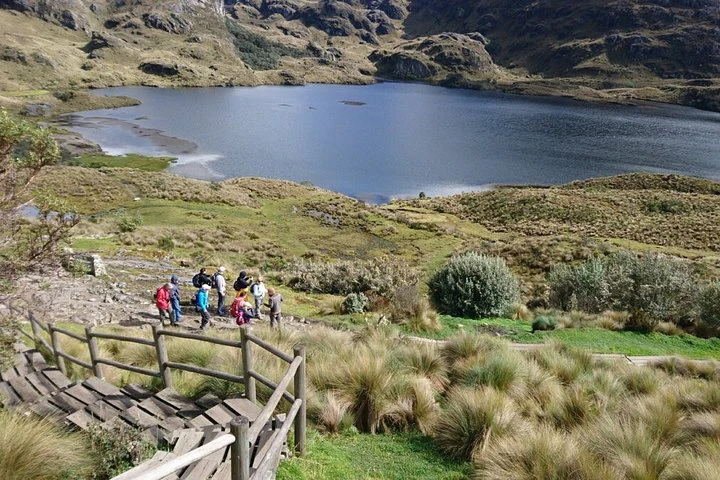 Excursión privada de senderismo de día completo al Parque Nacional de las Cajas - imagen #6