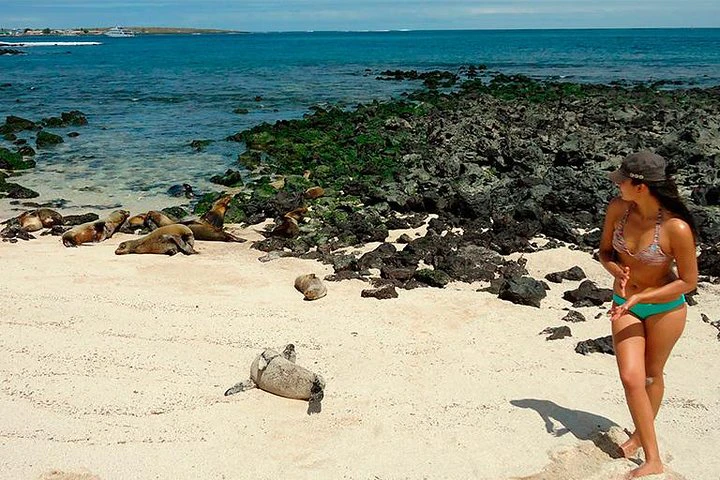 Excursión de día completo 360 San Cristóbal: lo mejor de la isla - imagen #4