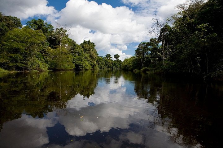 Iquitos Transfer: Cruise Port to Iquitos Hotels or viceversa - imagen #4