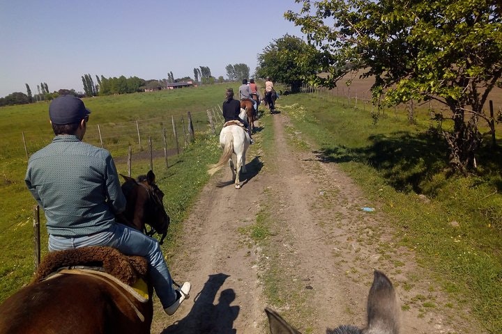 Horseback Riding Experience in Carlos Keen - imagen #2